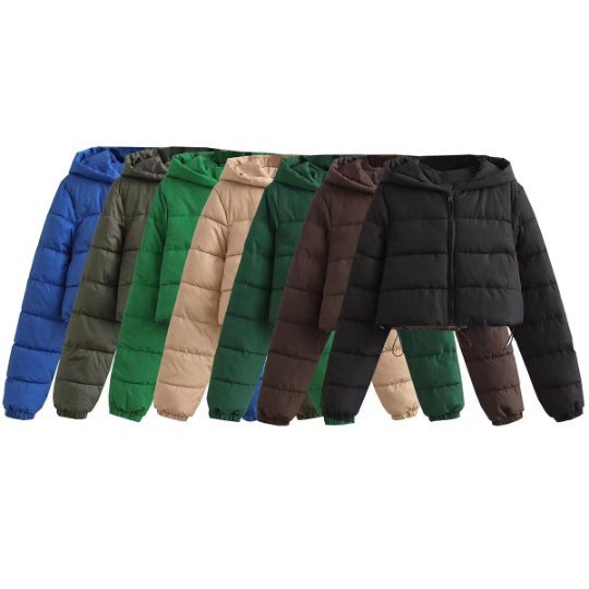 5c6fcd403c4fbbd5f4cc6b3bdd21efc8