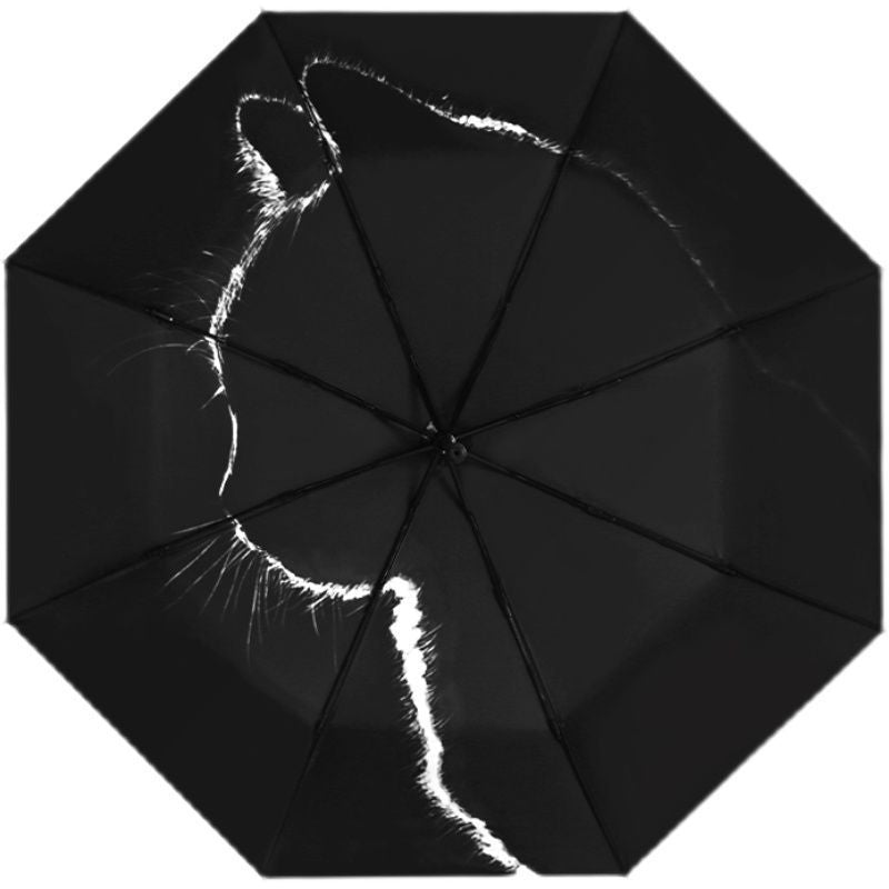 2ca82aae68d79f650cf92b20821c4e0e